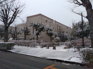 野火止雪04