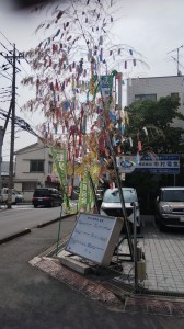 七夕01